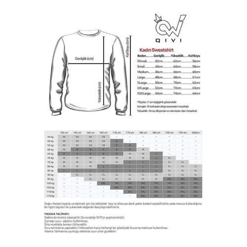 ZEPPELIN ICARUS WING METAL Baskılı Füme Antrasit Kadın Sweatshirt