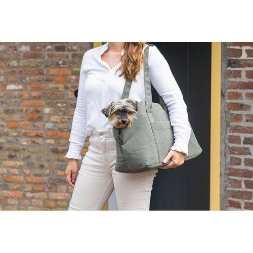 Beeztees DBL Köpek Taşıma Çantası, Yıkanabilir, 6,5Kg'ye kadar, Yeşil, 40x20x28cm