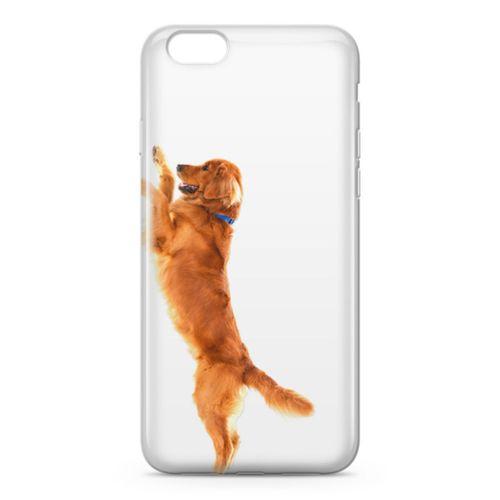 Apple iPhone 6 6s Kılıf Golden Retriever Arka Kapak Koruma Desenli Full Koruyucu