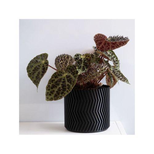 ZigZag Vazo Modu Çiçeklik 3D Baskı (Bu ürün Sadece Plastik parçadır - Almadan Önce Soru Sorabilirsiniz)