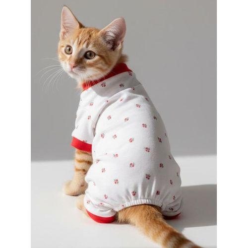 Berry Kedi Tulumu | Pamuklu Penye Kedi Kıyafeti | Küçük Irklar İçin | Tüy Dökülmesini Azaltır