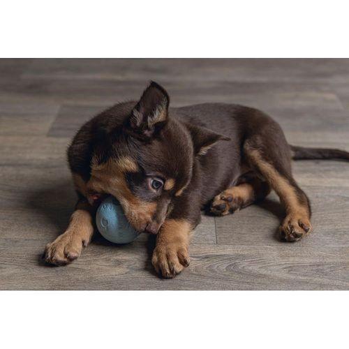 Beeztees Yavru Köpek Oyuncağı, Top, Kauçuk, Yeşil, 6cm