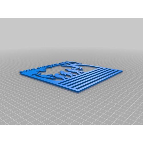 Duvar Madalya Tutucu