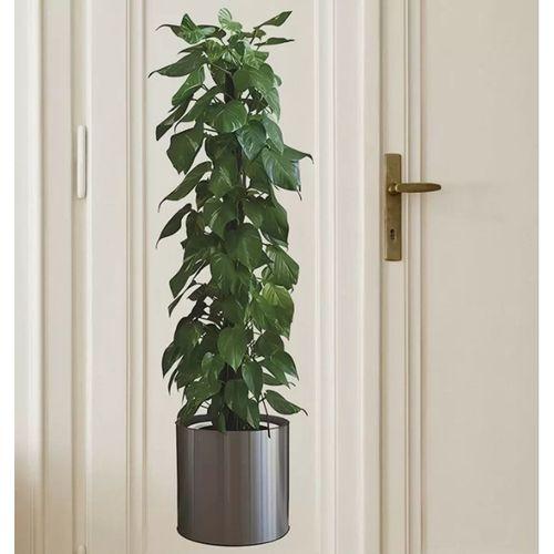 Saksılı Bitki Tasarımlı Yapışkanlı Sticker Resim 90*30 cm