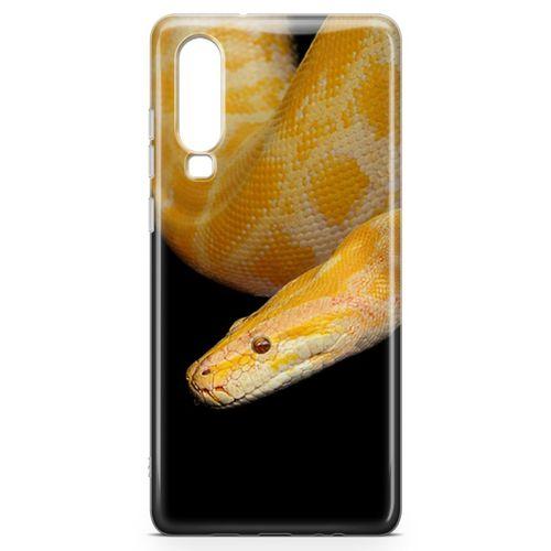 Huawei P30 Kılıf Zehir Arka Kapak Koruma Desenli Full Koruyucu