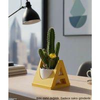 Sarı A Harf Seklinde Mini Dekoratif Saksi Ismine Ozel Bas Harf Tasarim 75 Cm Masa Ustu Ofis Dekoru