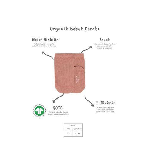 Çocuk Eğitici Gelişim Bistyle 5'li Penye Soket Kutulu Basic Çorap 10131 Pudra