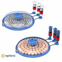 80 Tavuk 240 Kuş Yumurta Kapasiteli Çift Viyollü Kuluçka Makinesi - Kaz, Ördek, Tavuk, Bıldırcın İçin