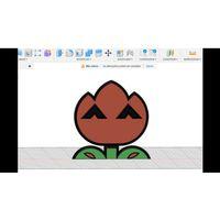 Ateş Çiçeği Mario Bros