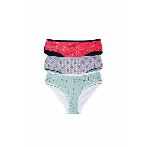 Pamuklu Geniş Kenarlı Likralı Desenli Bato Kadın Külot 3'lü Paket Set1