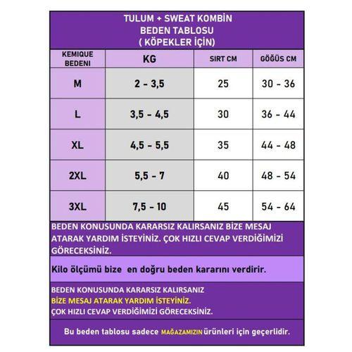Happy Pony Duo – Sevimli Pony Desenli Köpek Tulum & Sweat Kombini