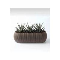 Mercan Uzun Saksı 27.7x11.8x9.8 Cm 1.3 Lt