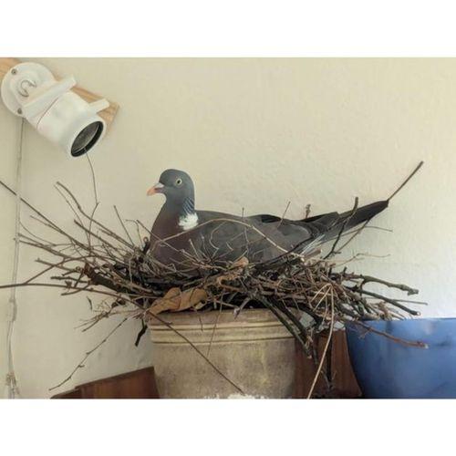 Omuz Kılıf Aparatı (Bu ürün Sadece Plastik parçadır - Almadan Önce Soru Sorabilirsiniz)