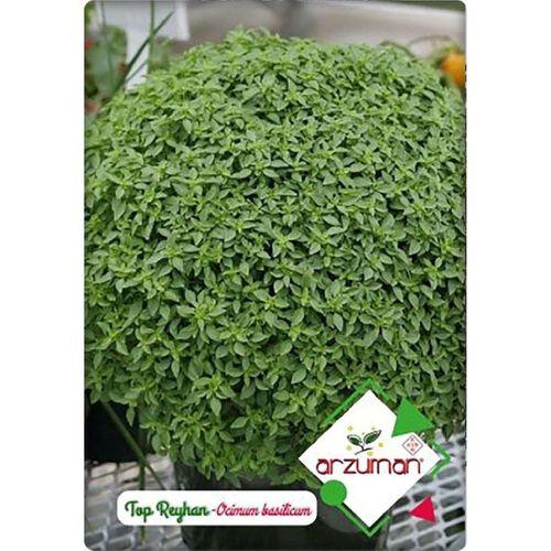 Top Reyhan (Fesleğen) (100 Adet)