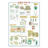 Bitkisel Dokular Levhası 70x100 cm