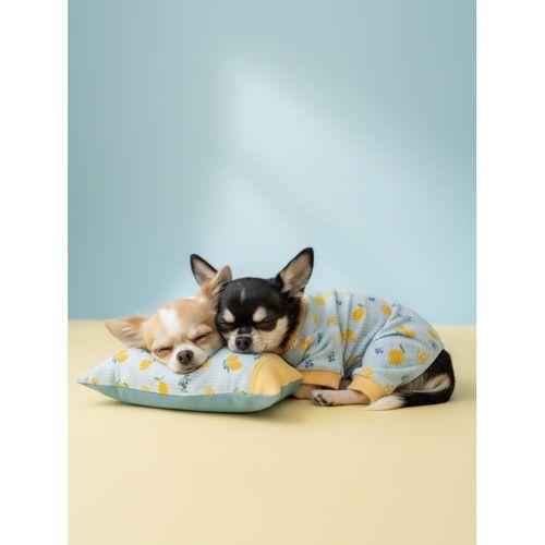 Pineapple Summer Penye Köpek Uyku Takımı | Küçük Irklar İçin | Ananas Desenli | Tüy Dökülmesini Azaltır