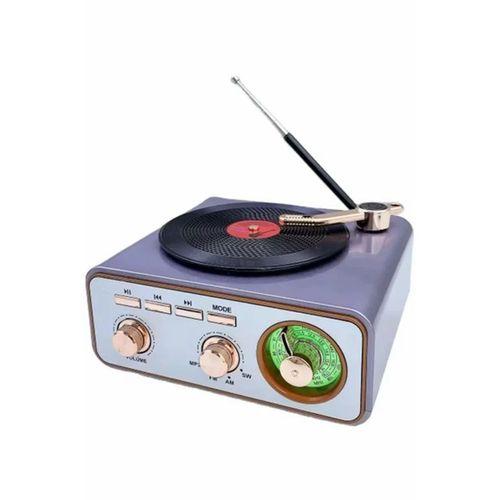 Metalik Nostaljik Tasarım Plak Çalar Görünümlü Radyolu Bluetooth Hoparlör Retro Müzik Plak