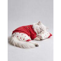 Tatlı Çilek Kedi Rüyası | Pamuklu Çilekli Kedi Tulumu, Kırmızı Sweatshirt ve Mini Yastık | 3Parça