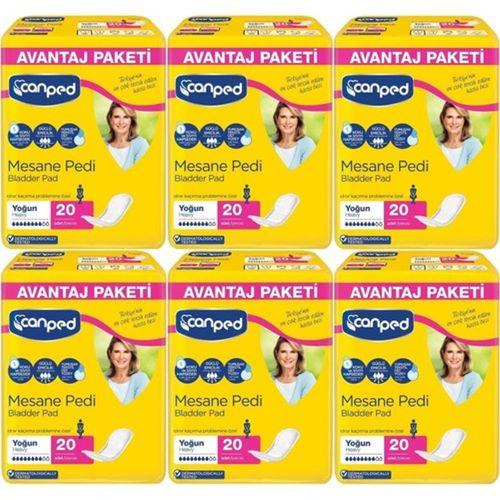 Canped Mesane Pedi Büyük Boy Large Yoğun 20'li 6 paket / 120 adet