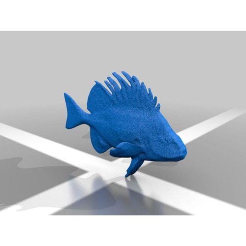 Horoz Balığı (Bu ürün Sadece Plastik parçadır - Almadan Önce Soru Sorabilirsiniz)