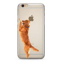 Apple iPhone 6 6s Kılıf Golden Retriever Arka Kapak Koruma Desenli Full Koruyucu