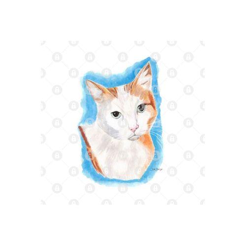 White And Ginger Cat Kupa