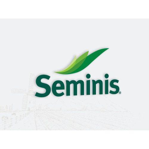 Seminis Gina Fasulye Tohumu 1 kg