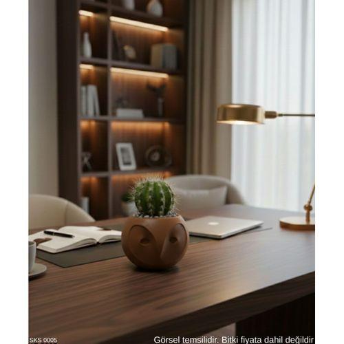 Kahverengi Baykuş Figürlü Mini Dekoratif Saksı 6 Cm Masaüstü Ofis Dekoru