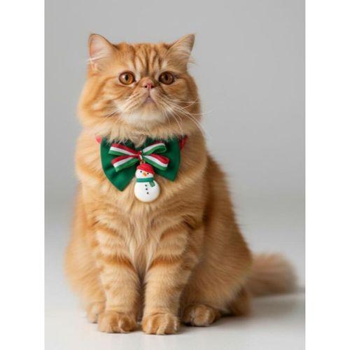 Kardan Adam Kedi Papyon Tasması | Yeşil Kırmızı Fiyonk Boyun Aksesuarı | Noel Temalı Kedi Süsü