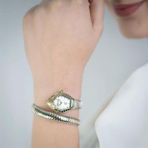 Just Cavalli JC1L356M0055 Kadın Kol Saati
