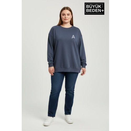 Kadın Büyük Beden A Baskılı Bisiklet Yaka ince Sweatshirt SPR26BSWK956-12