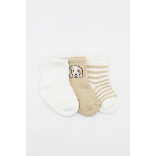 Bistyle Dog Boy 3'lü Penye Soket Çorap 10134 Ekru