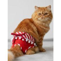 Frilly Red Dişi Kedi Regl Külotu | Kedi Donu | Kedi İç Çamaşırı | Ayarlanabilir Bağcıklı | Küçük Irklar İçin