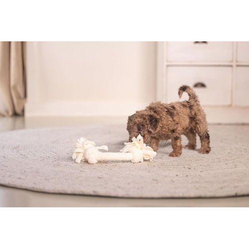 Beeztees Yavru Köpek Oyuncağı, Çift Düğümlü Diş İpi, Peluş, Pembe, 20x6x4,5cm