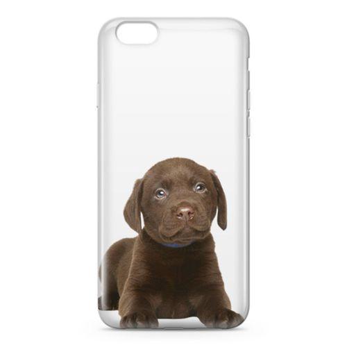 Apple iPhone 6 Plus - 6S Plus Kılıf Yavru Labrador Arka Kapak Koruma Desenli Full Koruyucu