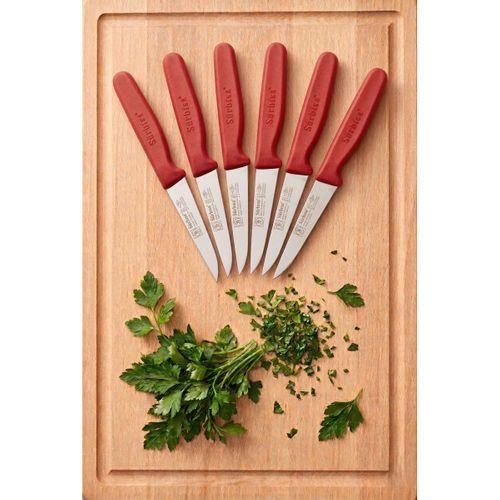 6'lı Meyve Sebze Bıçak Seti Kırmızı Sürmene Bıçağı Fırtına Set Sürbisa 61004