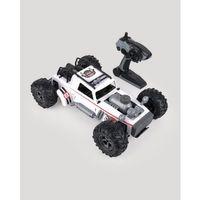 LC-31232 - U/K 1:10 2.4 Ghz HIZLI DUMAN ATAN ARABA