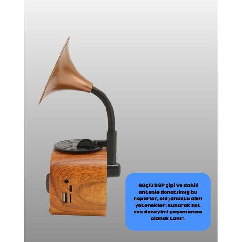 Kablosuz Retro Radyo Hoparlör 5w Güçlü Ses Usb Hafıza Kart Destekli