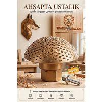 Tungsten Ahşap Oyma ve Şekillendirme Diski 70mm Avuç Taşlama Törpüsü + M14 Aparat 723601