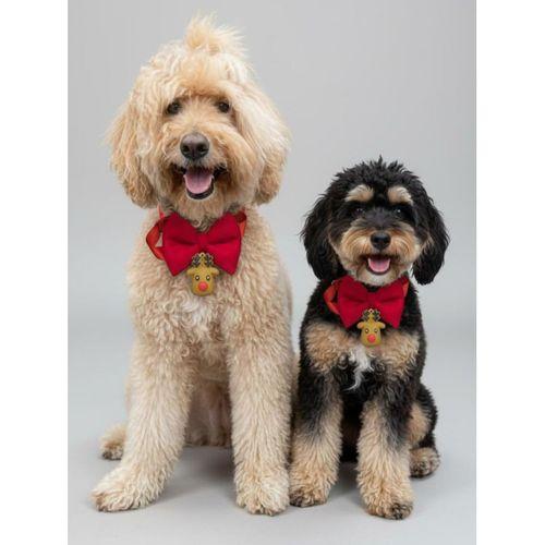 Yılbaşı Geyiği Küçük Irk Köpek Papyon Tasması | Kırmızı Fiyonk Boyun Aksesuarı | Noel Temalı Köpek Süsü