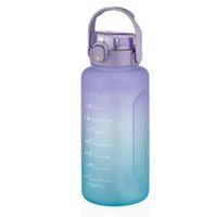 Polikarbon Matara Suluk 2500 Ml Vgn2215 Mor-Mavi