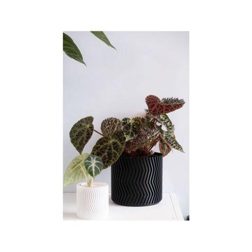 ZigZag Vazo Modu Çiçeklik 3D Baskı (Bu ürün Sadece Plastik parçadır - Almadan Önce Soru Sorabilirsiniz)