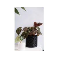 ZigZag Vazo Modu Çiçeklik 3D Baskı (Bu ürün Sadece Plastik parçadır - Almadan Önce Soru Sorabilirsiniz)