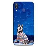 Samsung Galaxy M20 Kılıf Köpek Kıyafetleri (45) Liquid Air Kılıf Husky Renkli Süveter