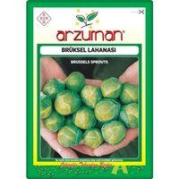 Brüksel Lahanası Tohumu (200 Adet)