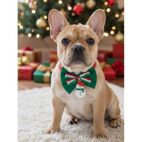 Kardan Adam Küçük Irk Köpek Papyon Tasması | Kırmızı Fiyonk Boyun Aksesuarı | Noel Temalı Köpek Süsü