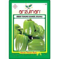 Kandil Dolma Biber Tohumu (10 Gr) (İnce Kabuk)