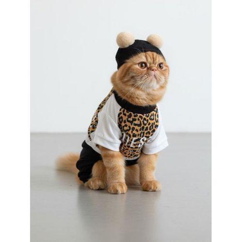 Leo Paw Kedi Tulumu & Bere Takımı | Penye Kumaş | Tüy Dökülmesini Azaltır