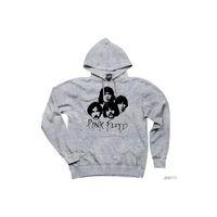 Pink Floyd Group Gri Kapşonlu Sweatshirt Hoodie