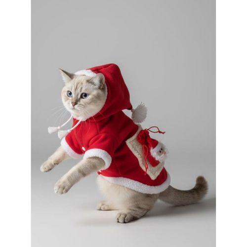 Santa's Bag Yılbaşı Kedi Kıyafeti Premium Kırmızı Polar | Kapüşonlu Noel Kedi Kostümü | Kurabiye Temalı